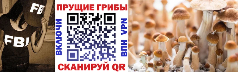 Галлюциногенные грибы Magic Shrooms  купить наркоту  Пучеж 