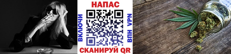 Конопля сатива Пучеж